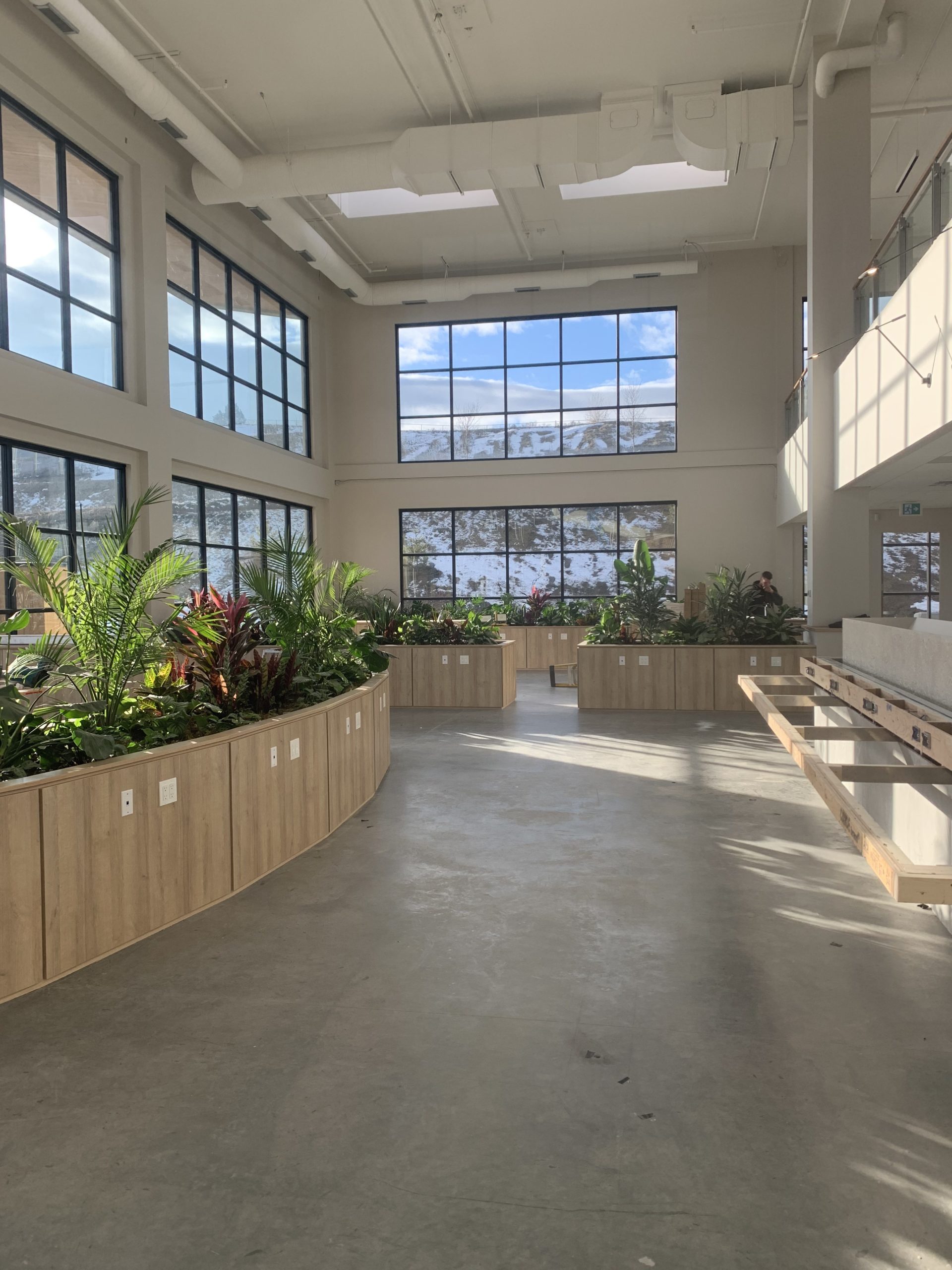 Poplar Painting - The interior of a building with a lot of plants in it.