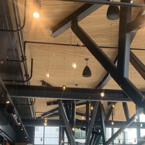 Poplar Painting - Modern industrial-style interior with exposed black steel beams and hanging pendant lights against a wooden ceiling.