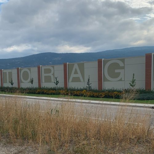 Poplar Painting - A large storage facility with the word "storage" prominently displayed on the side of the building, seen from across a street with dry grass in the foreground and a hill in the distance under a cloudy.